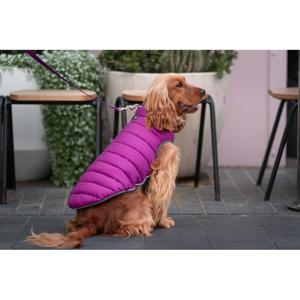 product/r/e/red-dingo_pj-pm-pu_rose-et-violet_3.jpg