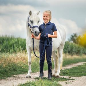 product/r/e/red-horse_590724-402_1.jpg