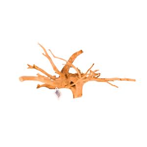 product/r/e/reptiles-planet_rp211801_beige_1.jpg