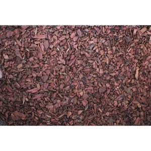 product/r/e/reptiles-planet_rp550005_violet_2.jpg