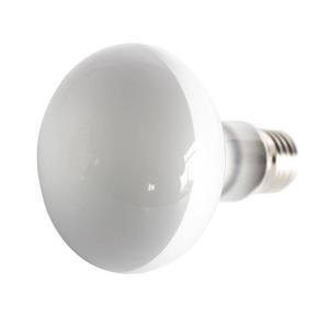 rp870452-ampoule-reptiles-planet-repti-uva-blanc
