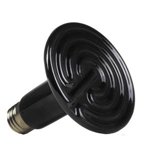 product/r/e/reptiles-planet_rp870555_noir_1.jpg