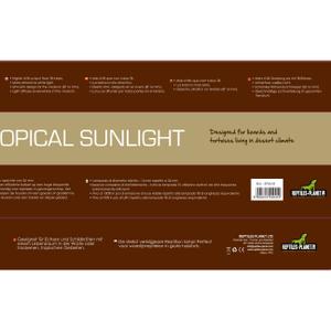 product/r/e/reptiles-planet_rp870618_marron_4.jpg