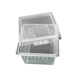 product/r/e/reptiles-planet_rp875971_gris_1.jpg