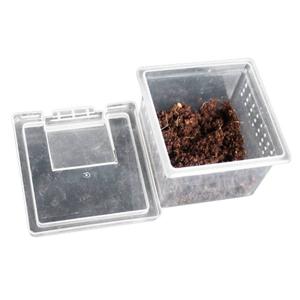 product/r/e/reptiles-planet_rp875971_gris_4.jpg