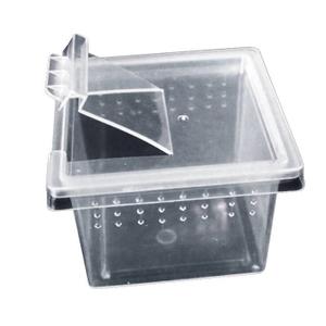 product/r/e/reptiles-planet_rp875971_gris_5.jpg