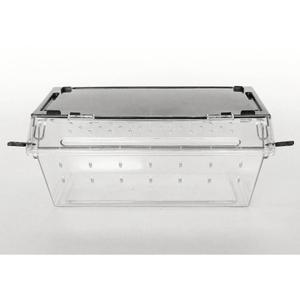 product/r/e/reptiles-planet_rp875972_transparent_3.jpg