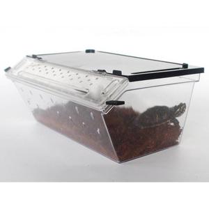 product/r/e/reptiles-planet_rp875972_transparent_5.jpg