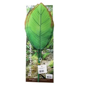 product/r/e/reptiles-planet_rp876027_vert_3.jpg