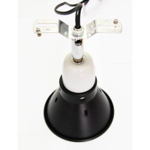 product/r/e/reptiles-planet_rp876108_noir-blanc_2.jpg