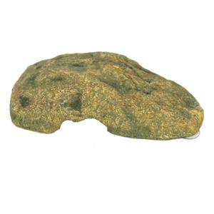 product/r/e/reptiles-planet_rp876172_vert_2.jpg