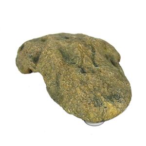 product/r/e/reptiles-planet_rp876172_vert_5.jpg