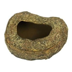 product/r/e/reptiles-planet_rp876176_vert_2.jpg