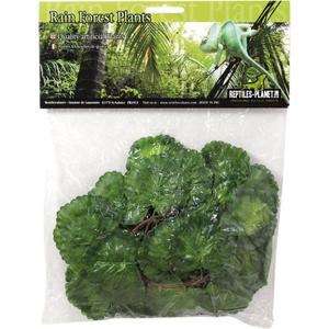 product/r/e/reptiles-planet_rp876258_vert_1.jpg