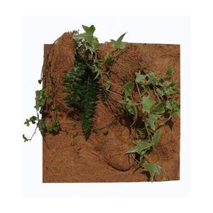 rp890550-accessoire-de-terrarium-reptiles-planet-planting-background-marron