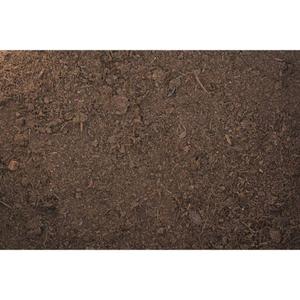 product/r/e/reptiles-planet_rp890580_marron_3.jpg