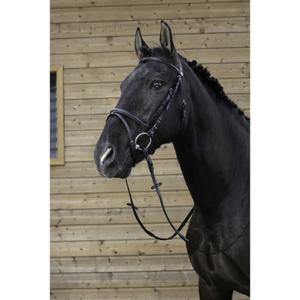 product/r/i/riding-world_301004102_2.jpg