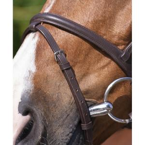 product/r/i/riding-world_301004118_2.jpg