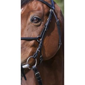 product/r/i/riding-world_301005102_4.jpg