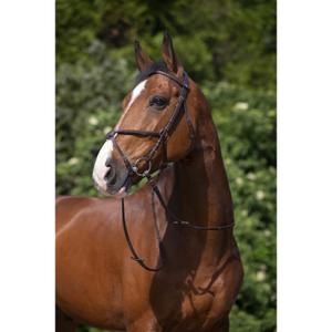 301005118-bridons-equitation-croisee-riding-world-muserolle-havane
