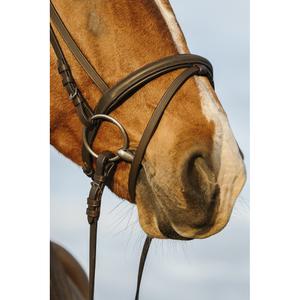 product/r/i/riding-world_301009118_havane_2.jpg