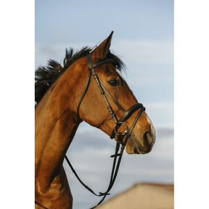 301009202-bridon-equitation-muserolle-combinee-riding-world-noir