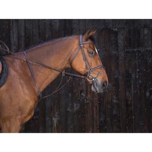product/r/i/riding-world_306121318_1.jpg