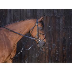 306396002-gogue-pour-cheval-riding-world-noir