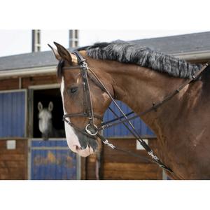 306396118-gogue-riding-world-havane-poney
