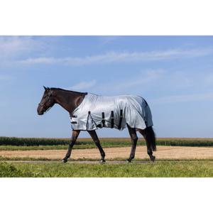product/r/i/riding-world_400723056_gris_1.jpg