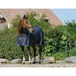 product/r/i/riding-world_400896753_marine_2.jpg