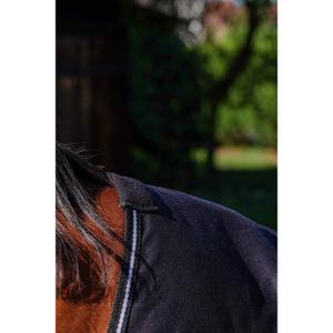 product/r/i/riding-world_400_709_063_det3.jpg