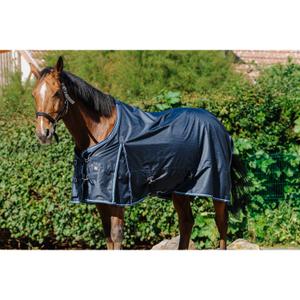 product/r/i/riding-world_400_896_063_ambi2.jpg