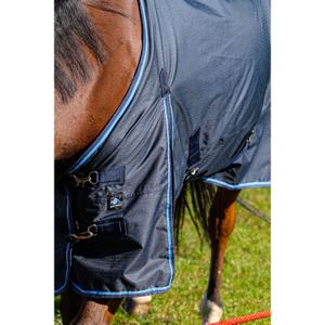 product/r/i/riding-world_400_896_063_det3.jpg