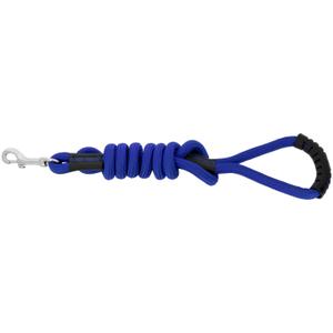 409056006-laisse-pour-chien-avec-poignee-riding-world-lucky-bleu-roi-150-cm