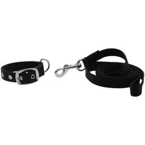409057230-collier-et-laisse-pour-chien-riding-world-oscar-noir-30-cm