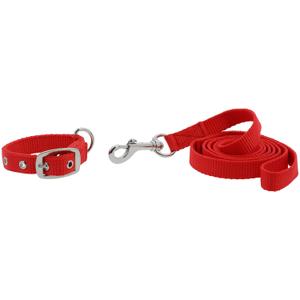 409057330-collier-et-laisse-pour-chien-riding-world-oscar-rouge-30-cm