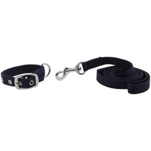 409057730-collier-et-laisse-pour-chien-riding-world-oscar-marine-30-cm