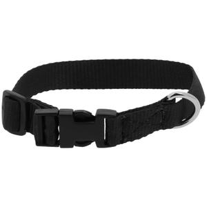 409058230-collier-pour-chien-riding-world-pat-noir-30-cm