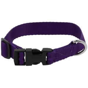 409058530-collier-pour-chien-riding-world-pat-violet-30-cm