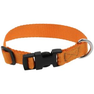409058830-collier-pour-chien-riding-world-pat-orange-30-cm