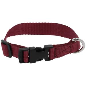 409058930-collier-pour-chien-riding-world-pat-bordeaux-30-cm