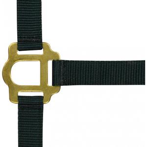 product/r/i/riding-world_510030002.jpg
