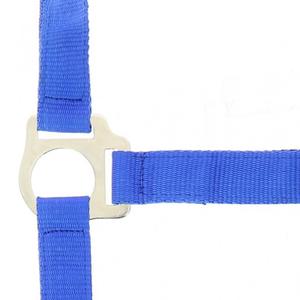 product/r/i/riding-world_510118106.jpg