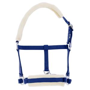 product/r/i/riding-world_510_022_006.jpg