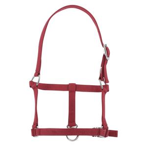 product/r/i/riding-world_510_241_033.jpg