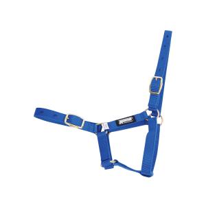 463450-licol-pour-poulain-roma-foal-blue-foal