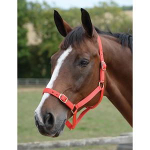 464521-ensemble-licol-et-longe-pour-cheval-roma-red