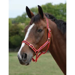 464546-ensemble-licol-et-longe-pour-cheval-roma-red-navy