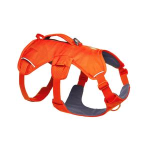 30104-850ll1-harnais-pour-chien-ruffwear-web-master-tm-blaze-orange